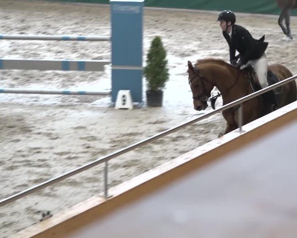 Reitturnier Dielsdorf, Horsepark 2020