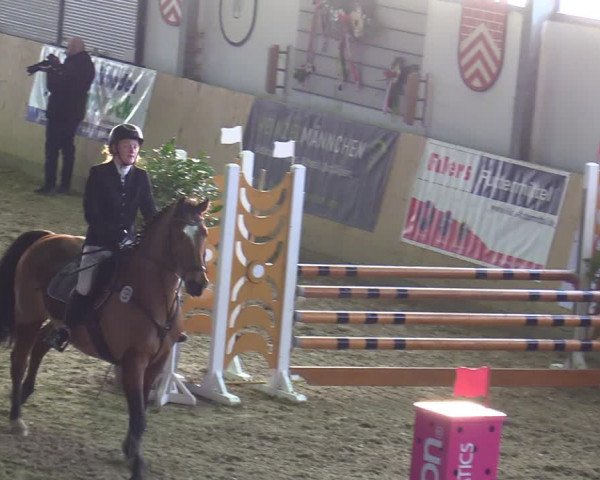 Jezdecký turnaj Borgholzhausen-Westbarthausen 2020