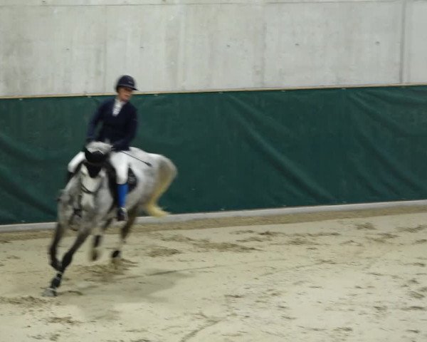 Reitturnier Dielsdorf, Horsepark 2020
