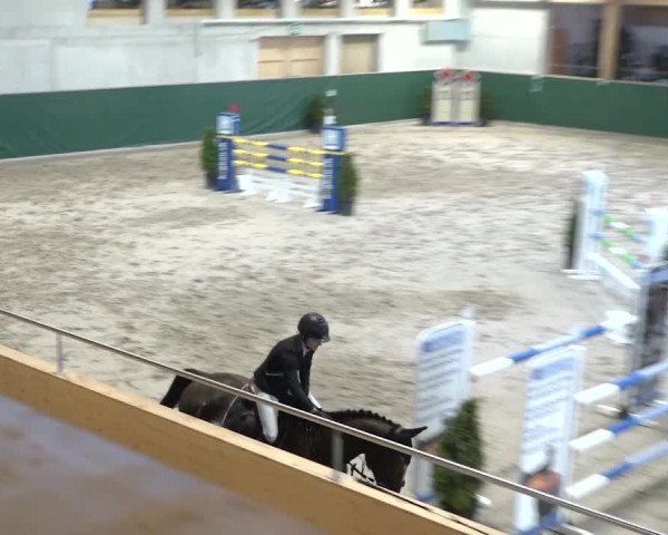Reitturnier Dielsdorf, Horsepark 2020