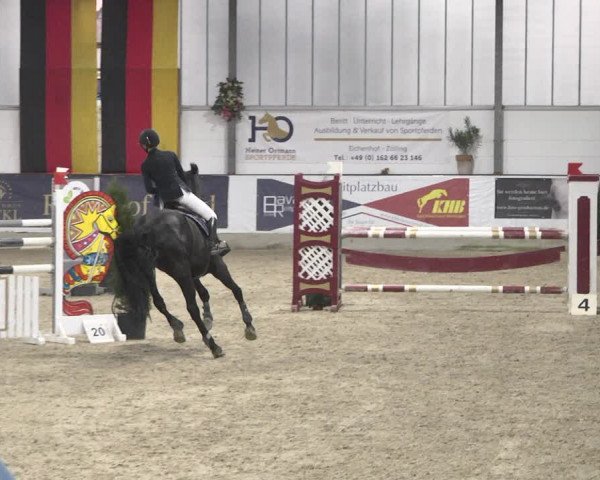 Reitturnier Karlsfeld/Obb. 2020