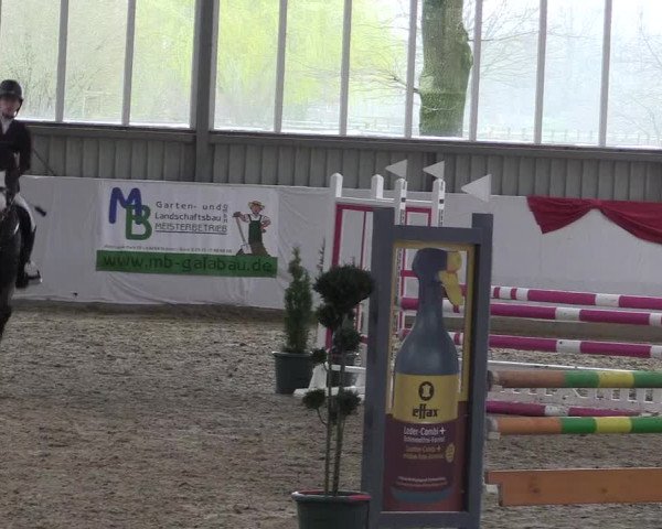 Reitturnier Greven 2020
