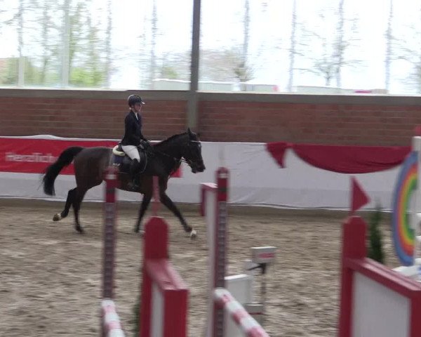 Reitturnier Greven 2020
