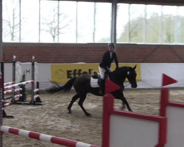 Reitturnier Greven 2020