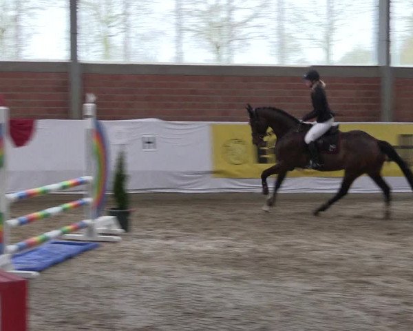 Reitturnier Greven 2020