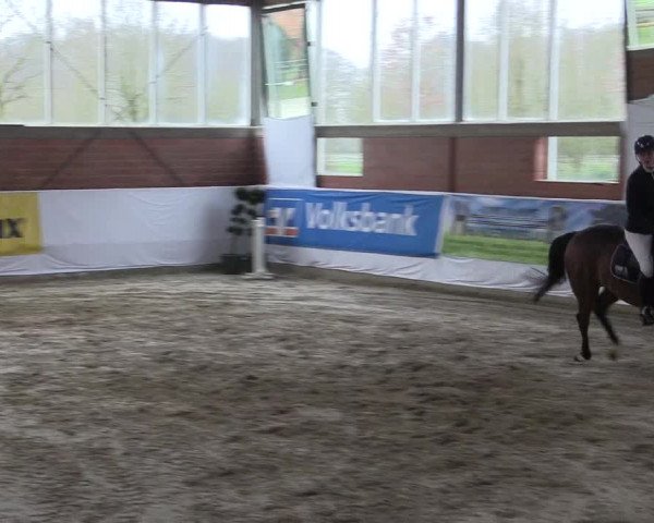 Reitturnier Greven 2020