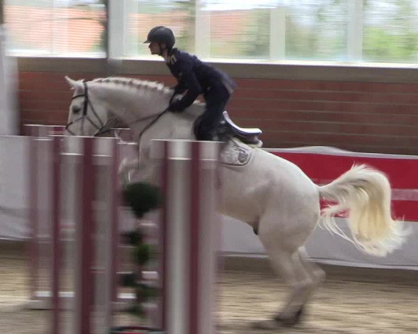 Reitturnier Greven 2020