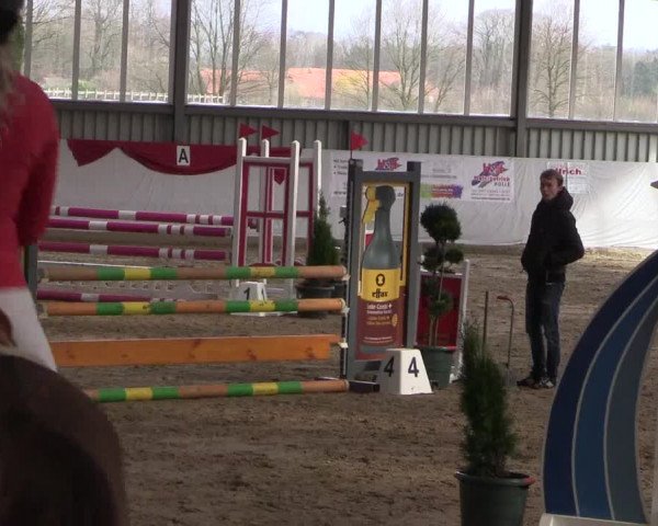Reitturnier Greven 2020