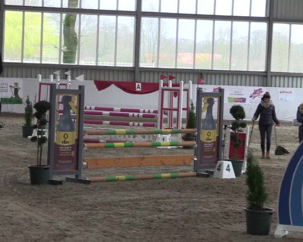 Reitturnier Greven 2020