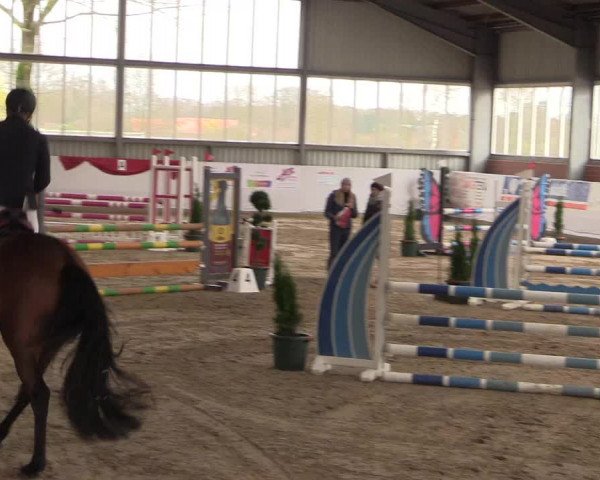 Reitturnier Greven 2020