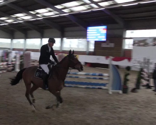 Reitturnier Greven 2020