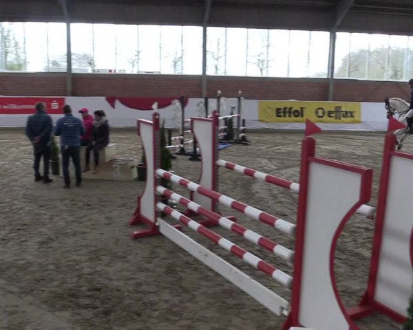 Reitturnier Greven 2020