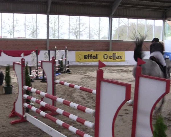 Reitturnier Greven 2020