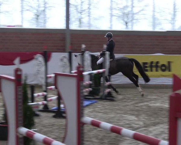Reitturnier Greven 2020