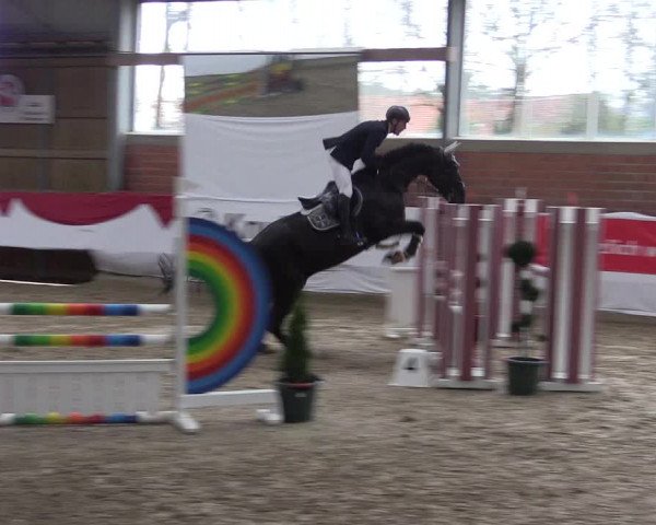 Reitturnier Greven 2020
