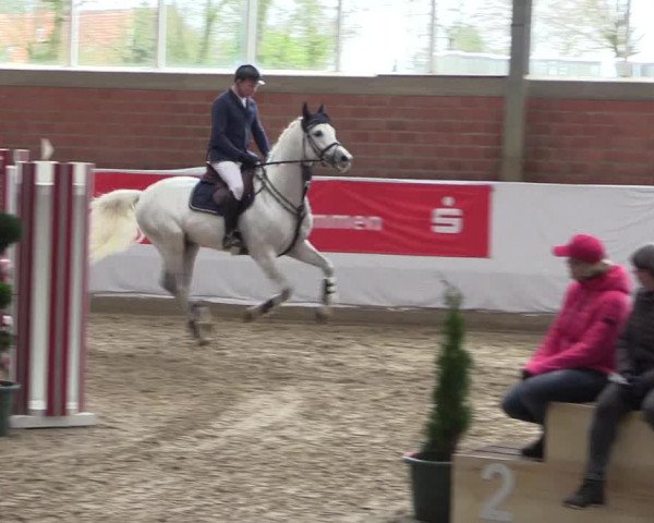 Reitturnier Greven 2020