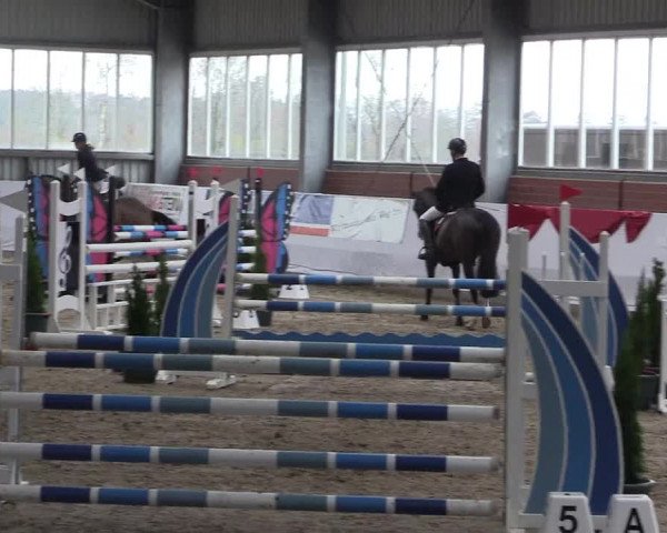 Reitturnier Greven 2020