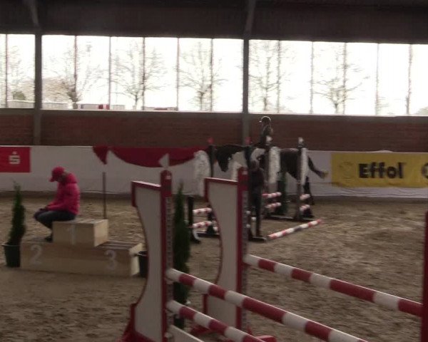 Reitturnier Greven 2020