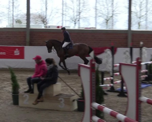 Reitturnier Greven 2020