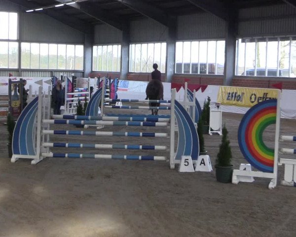 Reitturnier Greven 2020