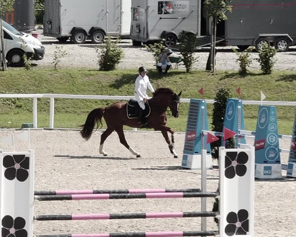 Pferdesporttage Bülach 2021