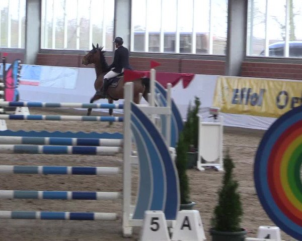 Reitturnier Greven 2020