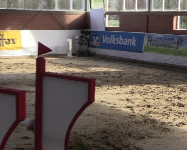 Reitturnier Greven 2020
