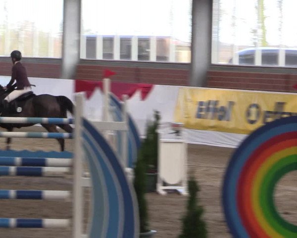 Reitturnier Greven 2020