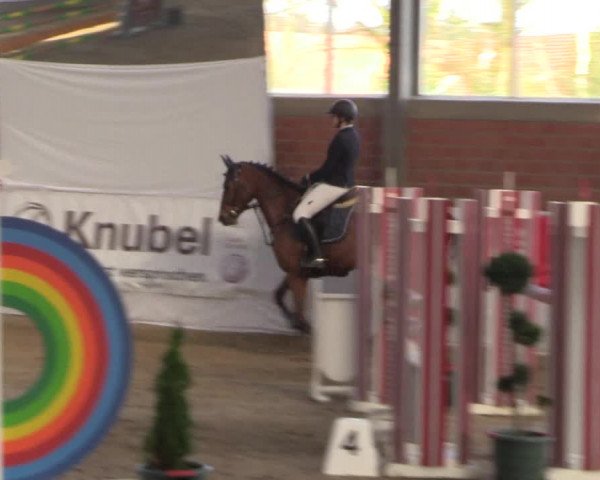 Reitturnier Greven 2020