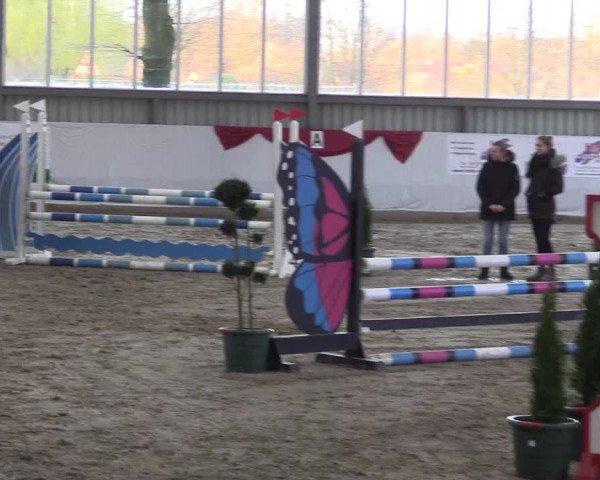 Reitturnier Greven 2020