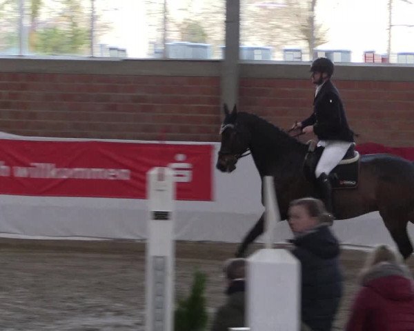 Reitturnier Greven 2020