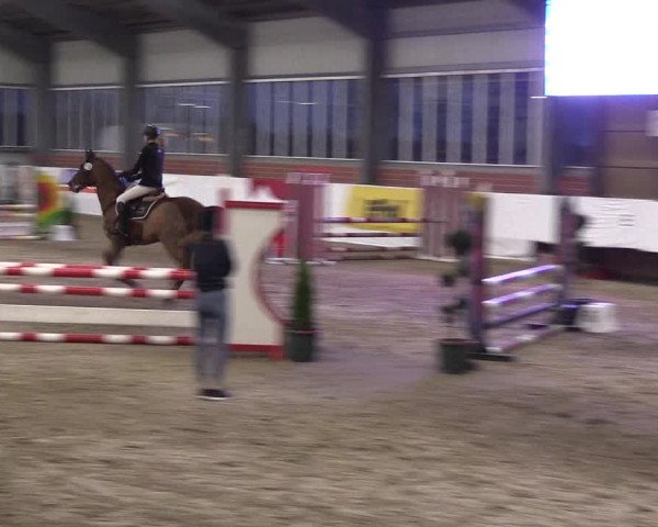 Reitturnier Greven 2020