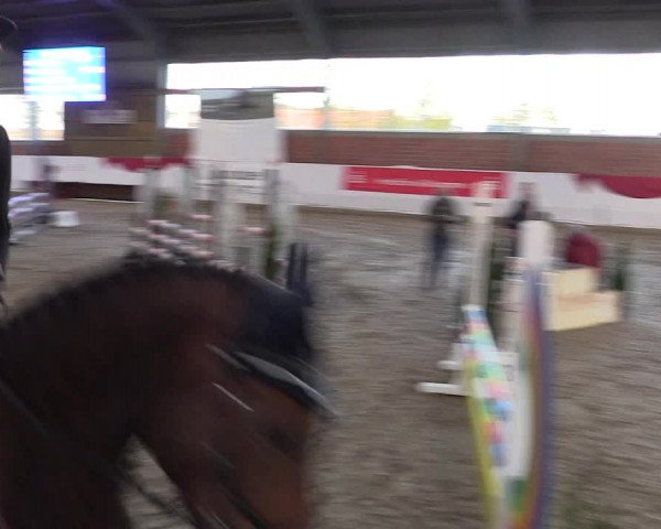 Reitturnier Greven 2020