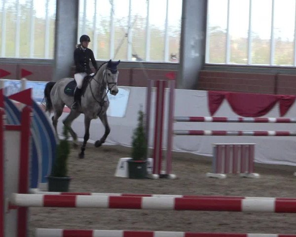 Reitturnier Greven 2020