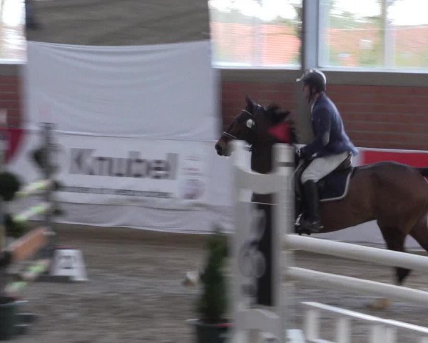 Reitturnier Greven 2020