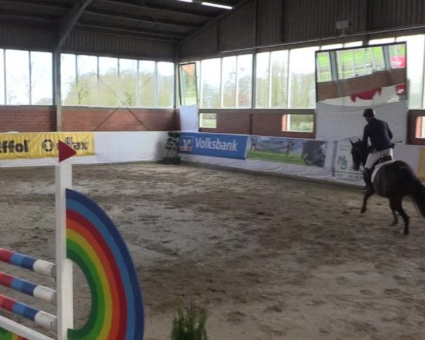 Reitturnier Greven 2020
