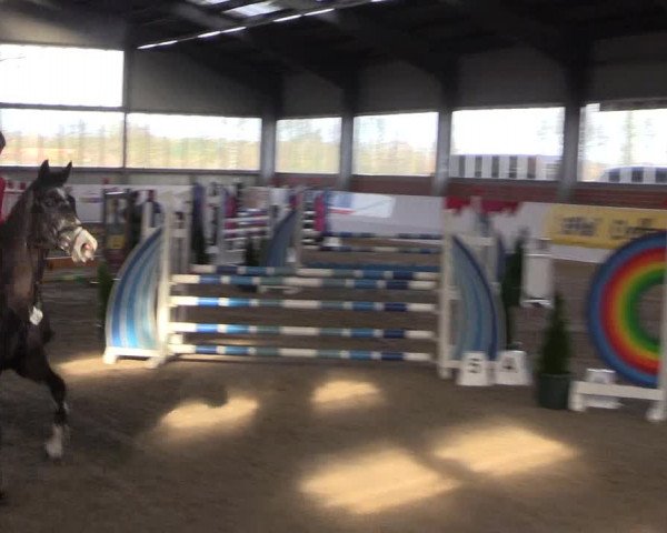 Reitturnier Greven 2020