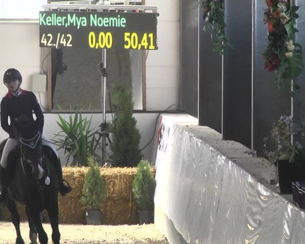 Reitturnier Karlsfeld/Obb. 2020
