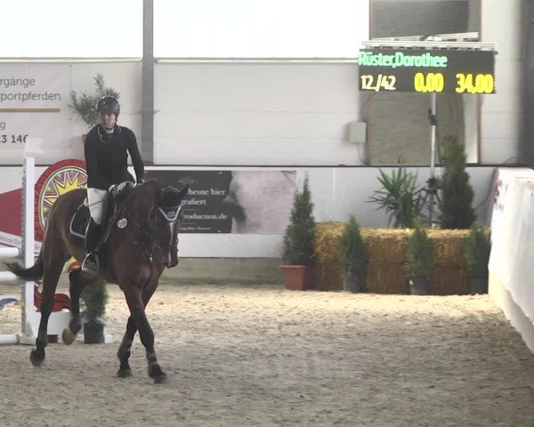 Reitturnier Karlsfeld/Obb. 2020