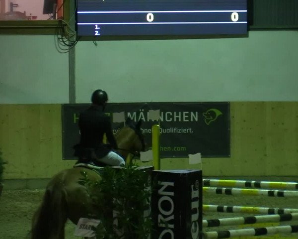 Reitturnier Borgholzhausen-Westbarthausen 2020