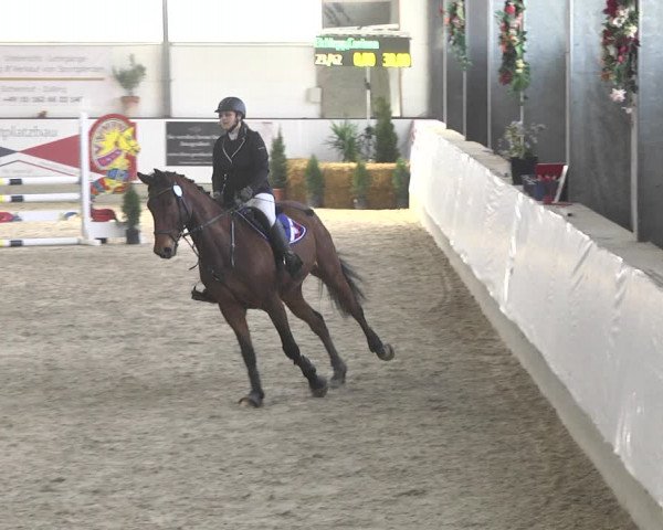 Reitturnier Karlsfeld/Obb. 2020