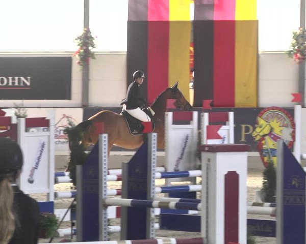 Reitturnier Karlsfeld/Obb. 2020