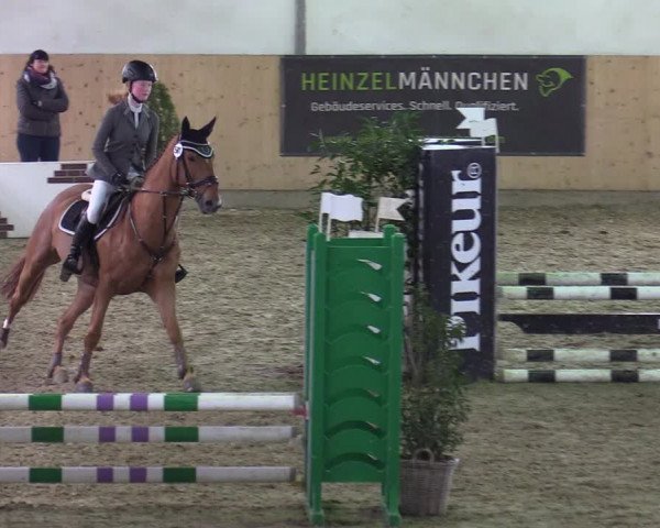 Reitturnier Borgholzhausen-Westbarthausen 2020