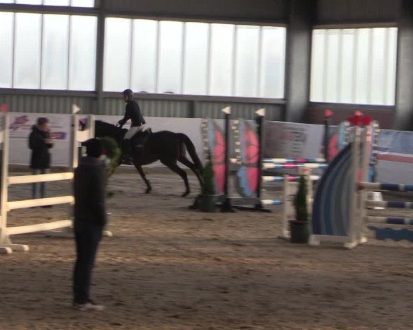 Reitturnier Greven 2020