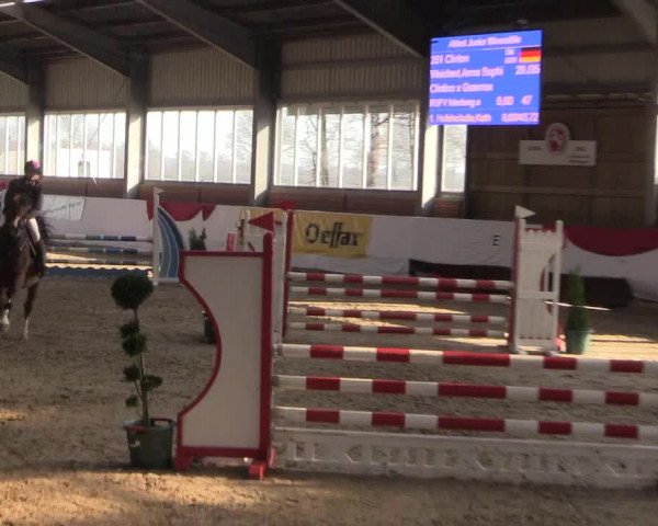 Reitturnier Greven 2020