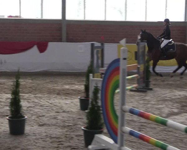 Reitturnier Greven 2020