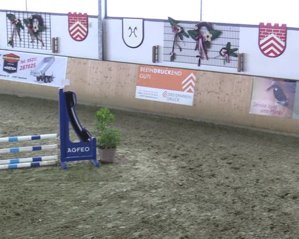 Reitturnier Borgholzhausen-Westbarthausen 2020