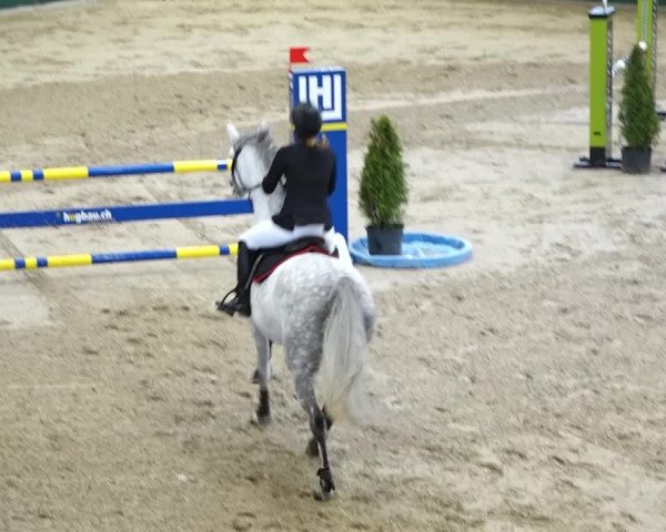 Reitturnier Dielsdorf, Horsepark 2020