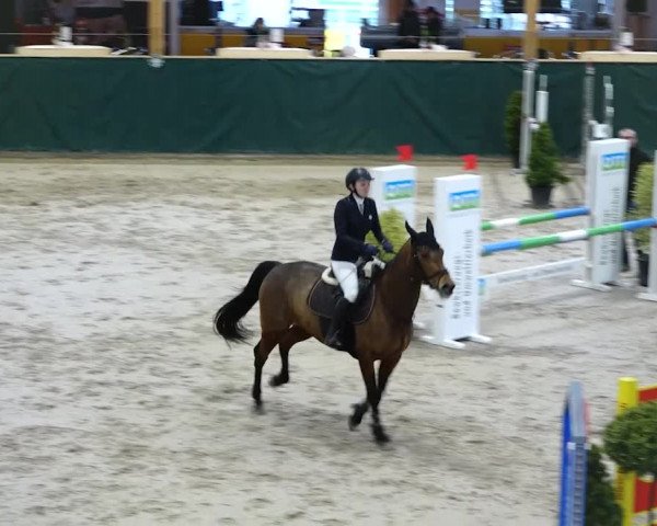 Reitturnier Dielsdorf, Horsepark 2020
