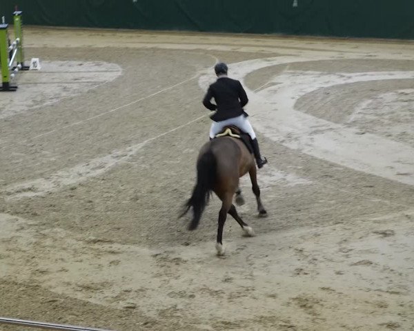 Reitturnier Dielsdorf, Horsepark 2020